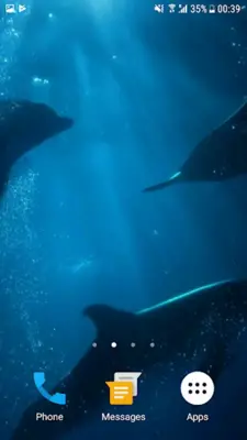 Dolphins Underwater Video Live Wallpaper android App screenshot 2