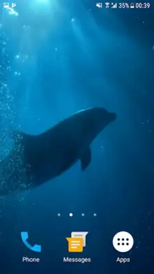 Dolphins Underwater Video Live Wallpaper android App screenshot 3