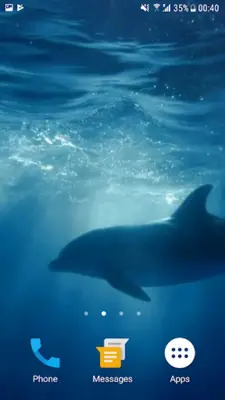 Dolphins Underwater Video Live Wallpaper android App screenshot 4